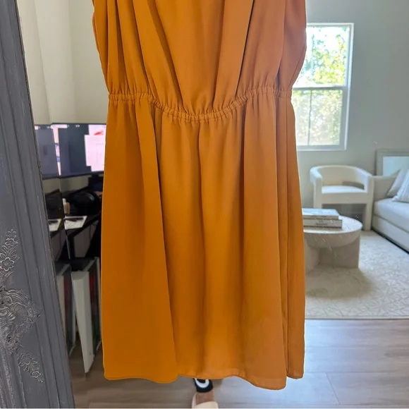 Aritzia Sunday Best Blixen Dress in Mustard‎ S - Picture 4 of 6